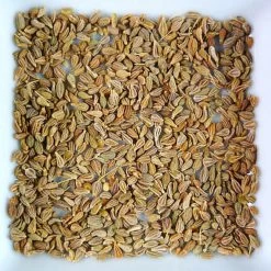 Anise Seed
