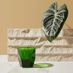 Vero Cortado Glass (4.25oz) - Emerald 10 Vero Cortado Glass (4.25oz) - Emerald -Coffee Tea Shop vero cort emer life